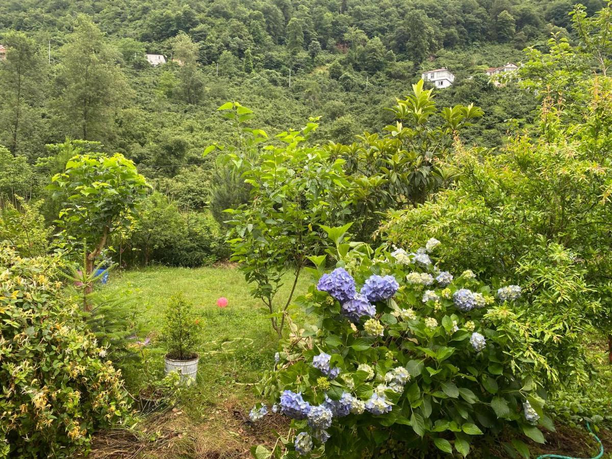 Doga Villa Yomra Экстерьер фото